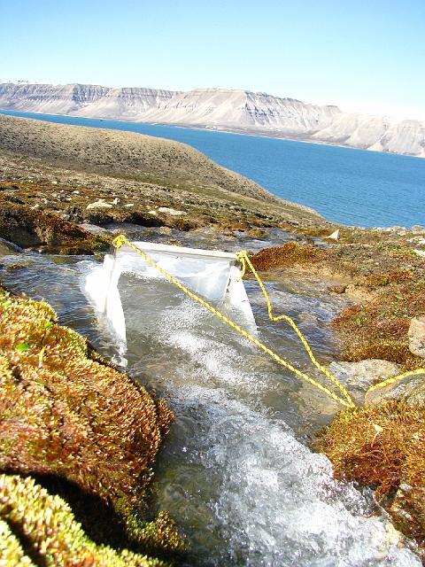 longyearbyen_8thjuly_jmb 058.jpg - ... pour y capturer la microfaune aquatique